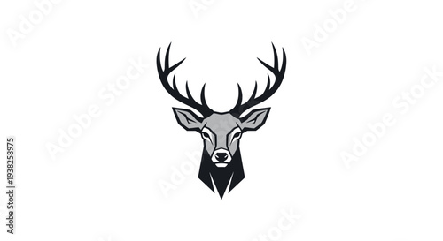 Deer head with large antlers closeup.