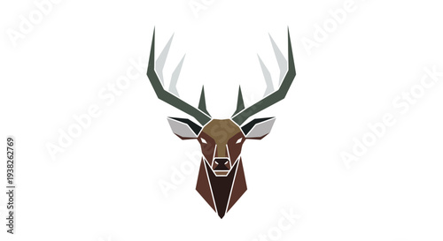 Deer head with large antlers mounted.