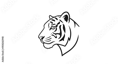 Detailed drawing of a tiger head.