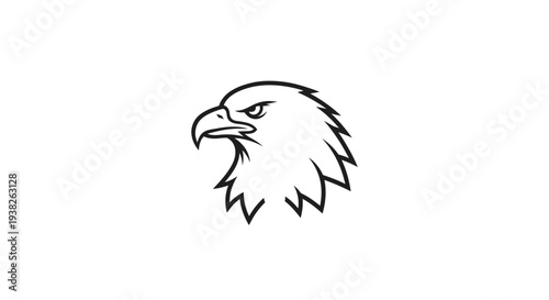 Detailed drawing of an eagle head.