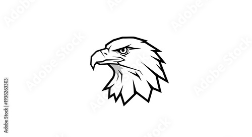 Detailed illustration of an eagle head.
