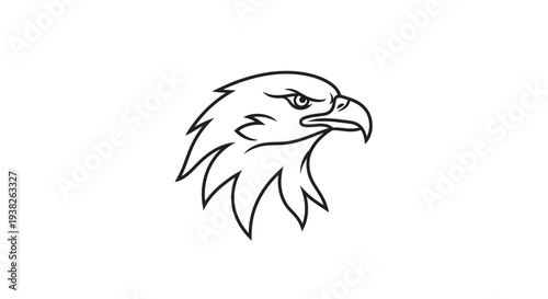 Detailed illustration of an eagle head.