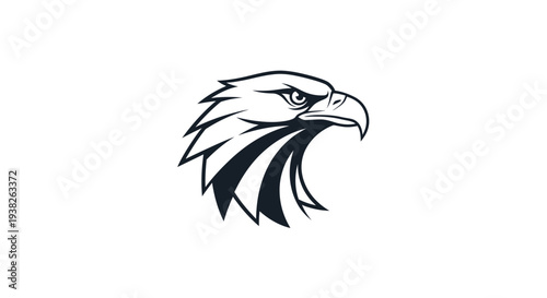 Detailed illustration of an eagle head.
