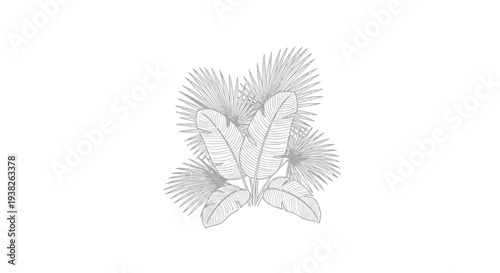 Detailed illustration of palm leaves.