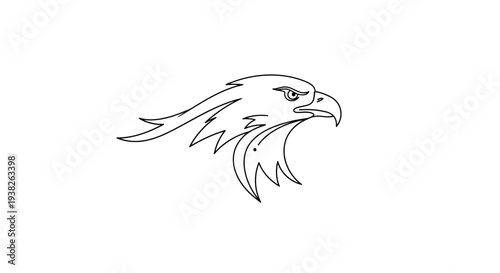 Detailed illustration of an eagle head.