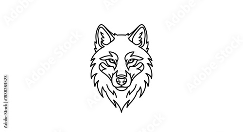 Detailed wolf head illustration portrait.