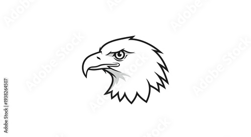 Eagle Bird Head Closeup Profile View.