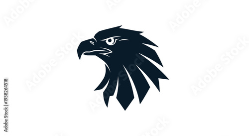 Eagle Bird Head Profile View.
