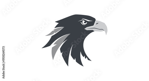 Eagle Bird Head Profile View.