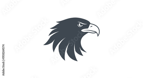 Eagle Bird Head Profile View.