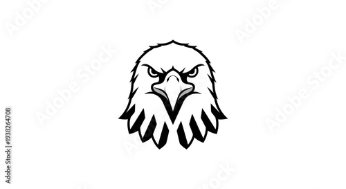 Eagle Head Illustration Closeup View.