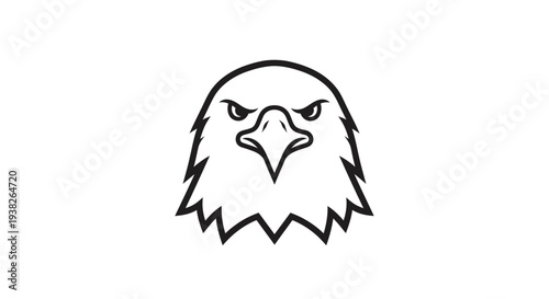 Eagle Head Illustration Closeup View.