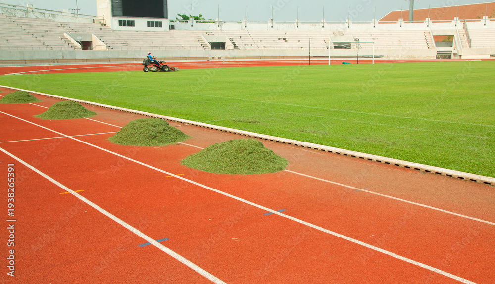 Fototapeta premium Cutting grass on the sports field