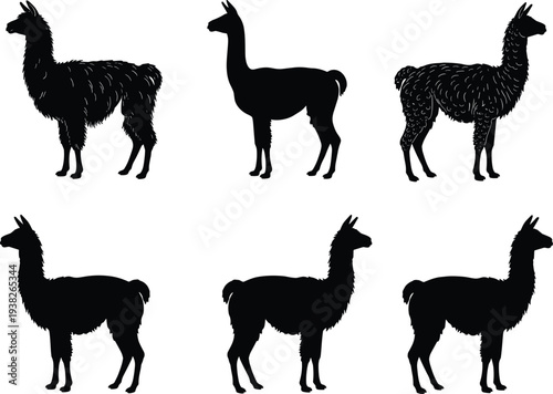 Set of Llama Silhouette Vectors, Black Alpaca Illustration Icons, Farm Animal Graphics for Vinyl Cutting and Country Western Logo Design
