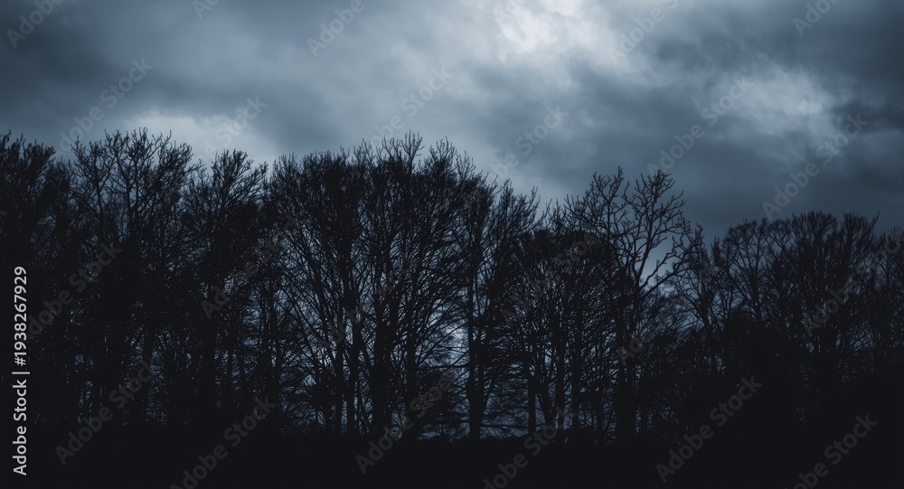 Obraz premium Dark tree outlines under a cloudy sky backdrop