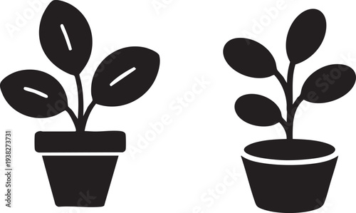 Potted Houseplant Icons Set Black Silhouette Indoor Plants Cactus Succulent Vector