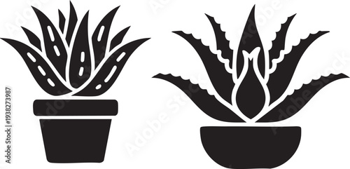 Potted Houseplant Icons Set Black Silhouette Indoor Plants Cactus Succulent Vector
