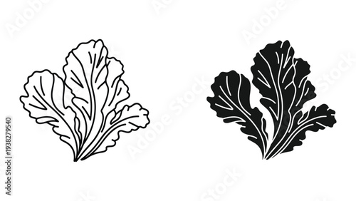 Kale Leaves Vector Silhouette Food Ingredient