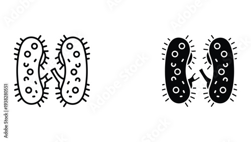 Microbe Cell Bacteria Microorganism Division Science Research