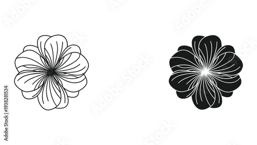 Flower Outline Silhouette Vector Design Botanical Element
