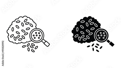 Rice Grains Magnifier Food Science Research Analysis Concept