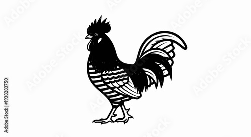A black and white illustration of a rooster with detailed feathers and tail