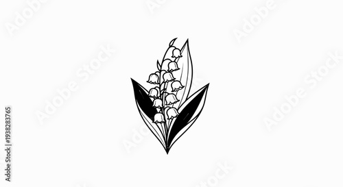 Delicate sketch of lily of the valley flowers with leaves