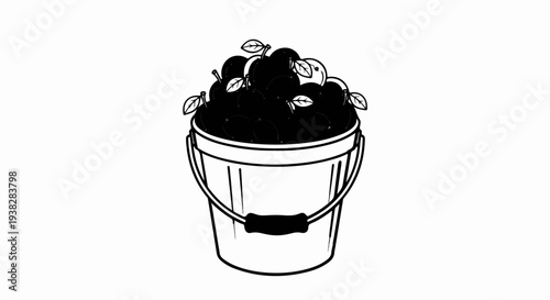 A bucket overflowing with dark fruits, some with leaves