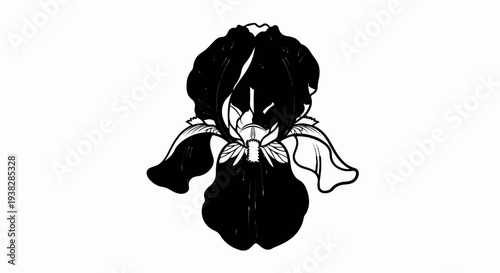 A striking black and white illustration of a dramatic iris flower
