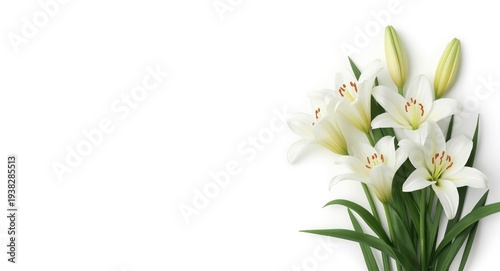 Easter and baptism card with isolated cross and white lilies on copy space background