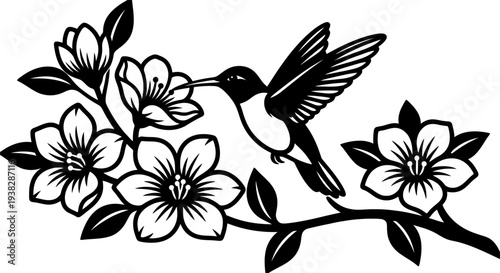 Hummingbird flying near flowers on branch silhouette