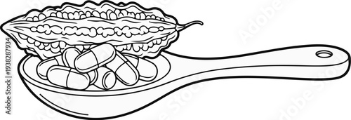 Bitter gourd fruit with capsules on a spoon