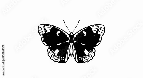Black and white detailed illustration of a butterfly with open wings