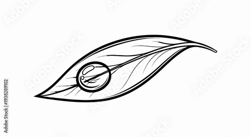 Stylized black and white drawing of a single leaf with a dewdrop