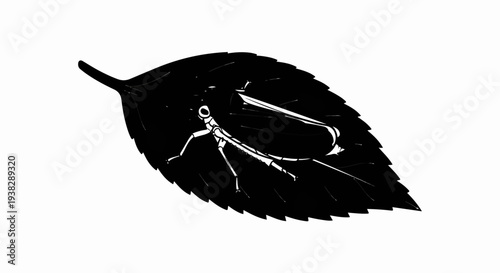 Silhouette of an insect resting on a dark, serrated leaf