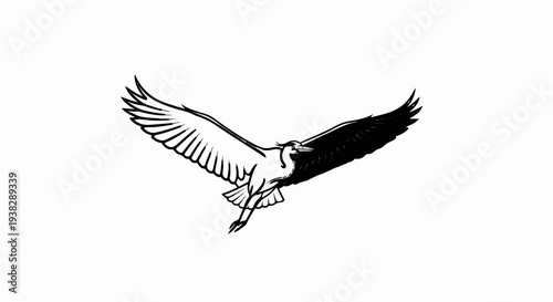 Striking black and white illustration of a bird in mid-flight with wings spread wide