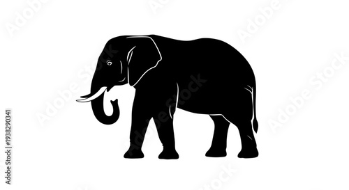 Silhouette of an elephant