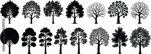 Set of black tree silhouettes in various shapes and species including deciduous and leafy styles isolated on white background for landscape graphic design.