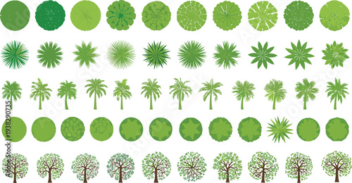 Vector collection of stylized trees and plants in top and side views, showcasing diverse foliage shapes and canopy structures for landscape design, architecture, and ecological projects