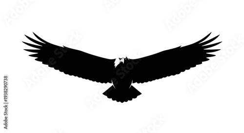 Silhouette of a soaring eagle against a white background