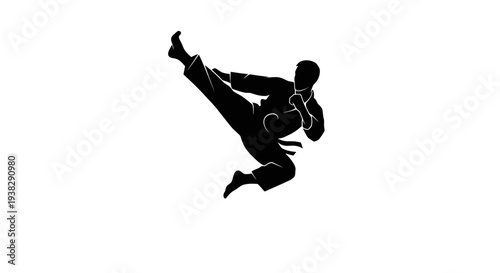Martial artist silhouette doing a flying kick, black on white background