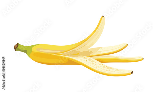Banana peel vector realistic illustration isolated on transparent background fruit