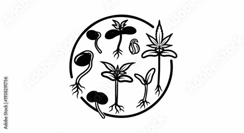 Diverse plant seedlings with roots and leaves in a circular frame