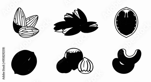 Six different types of nuts depicted in a stylized, simple black and white illustration