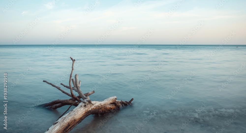 Fototapeta premium Calm sea view featuring driftwood and serene coastal atmosphere
