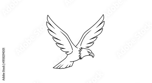Flying Eagle Bird in Motion.
