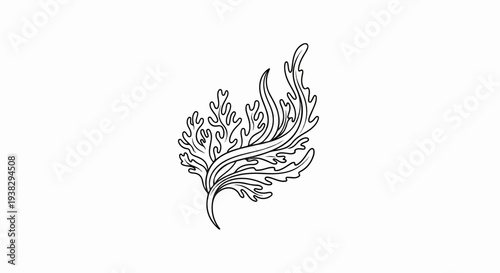 Delicate outline of aquatic flora, resembling seaweed or coral, on a white background