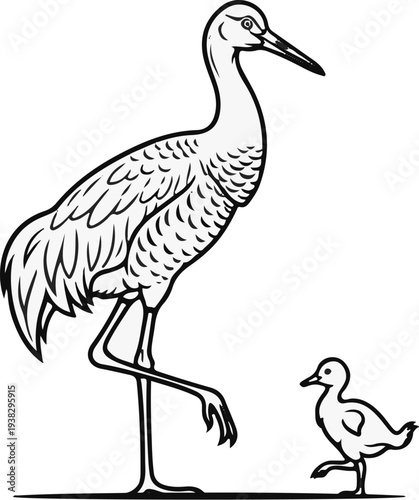 A parent bird stands on one leg watching a small chick waddle