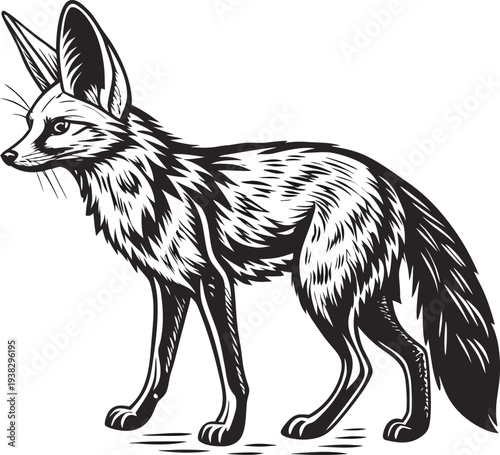 A stylized, monochrome illustration of a Fennec fox stands centered against a pure white background. The fox is depicted in a full-body pose, with a slender build and long, thin legs. Its most promine