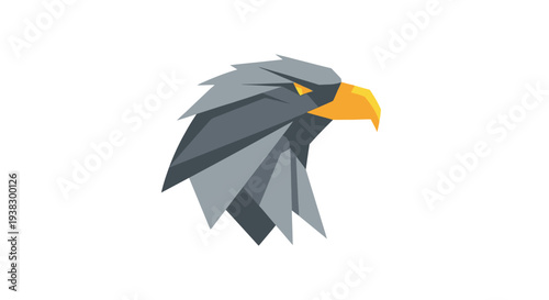 Geometric Eagle Head Illustration Closeup.
